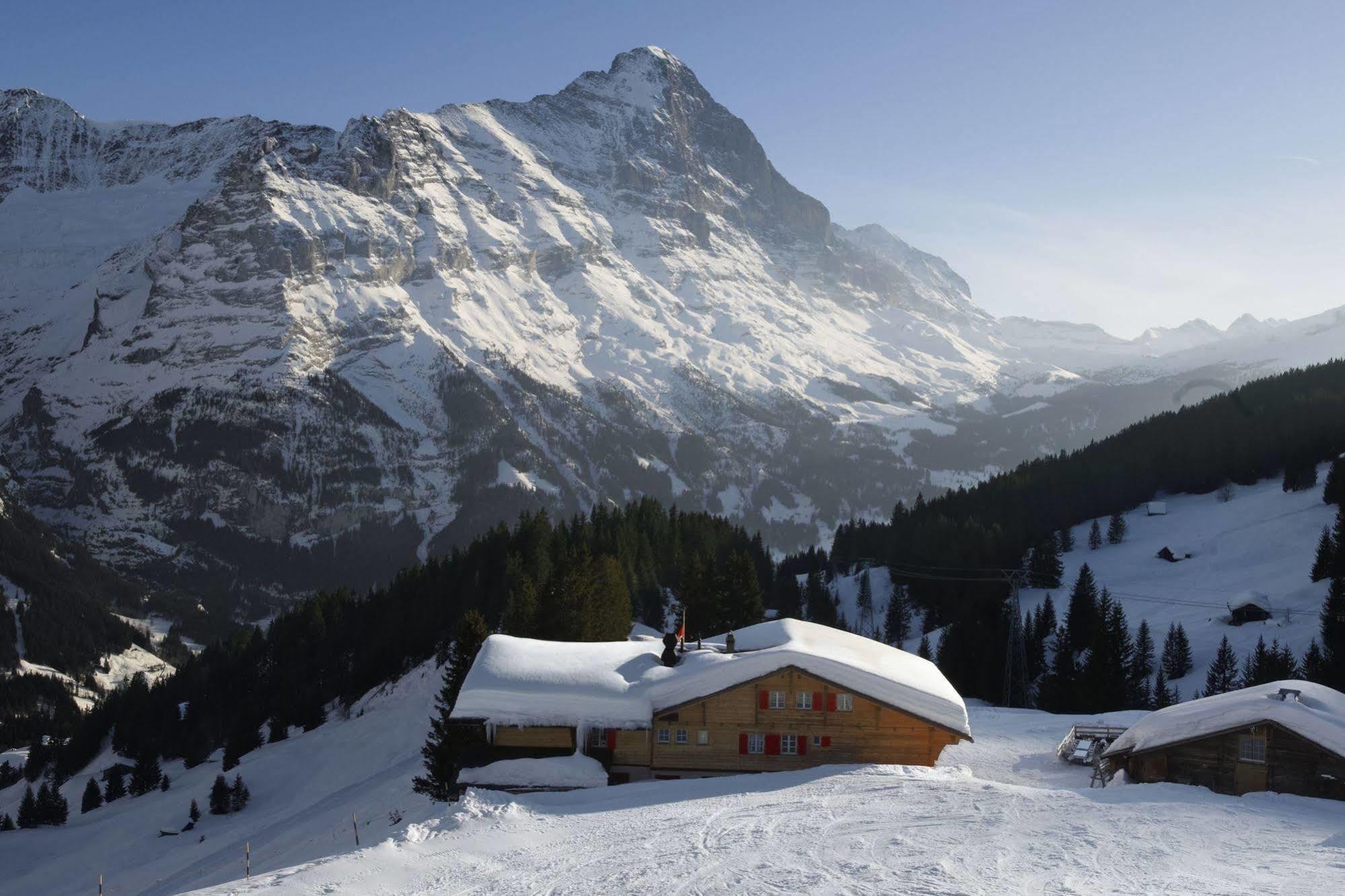 Alpinhotel Bort Grindelwald Exterior photo