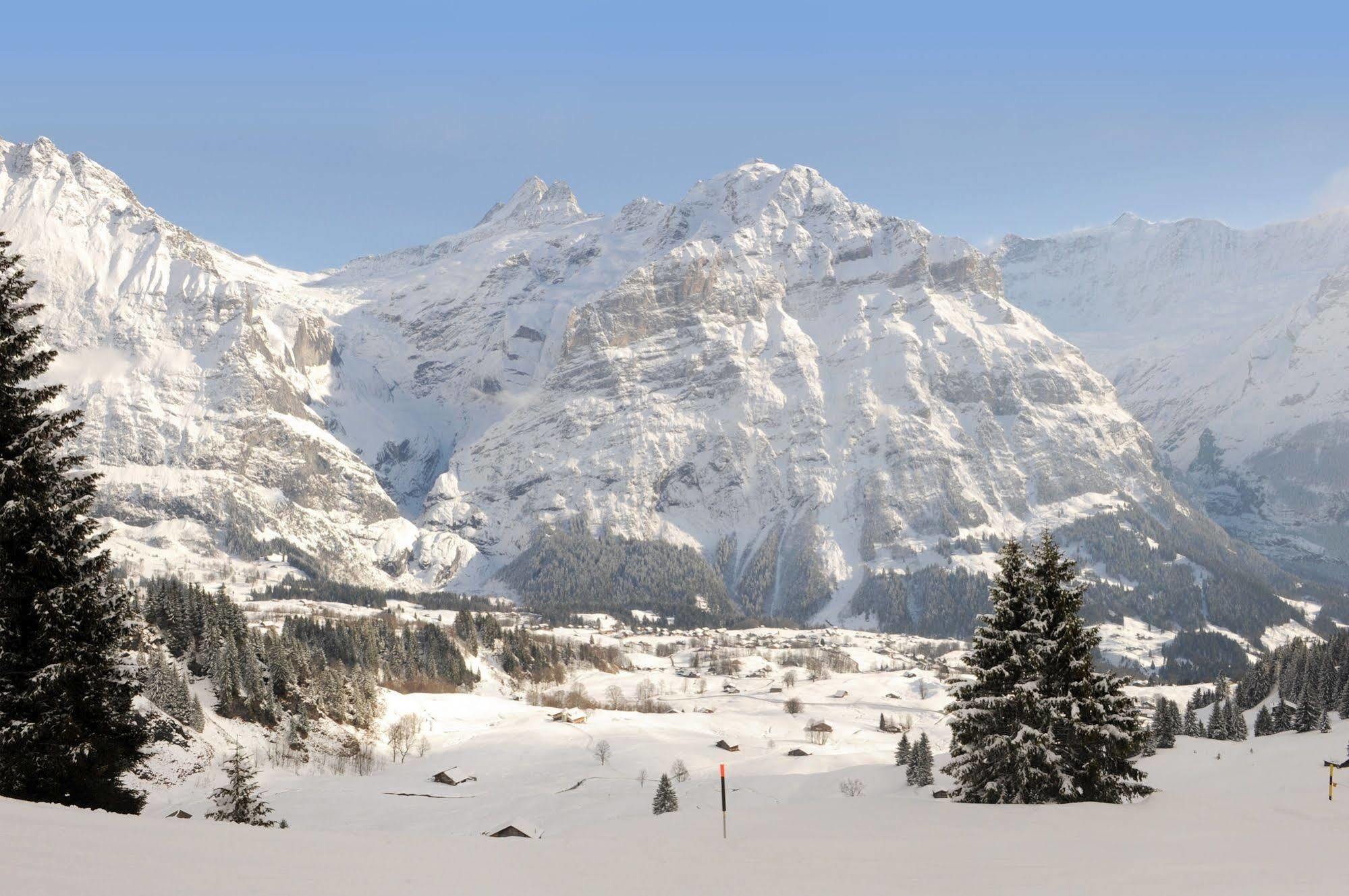 Alpinhotel Bort Grindelwald Exterior photo